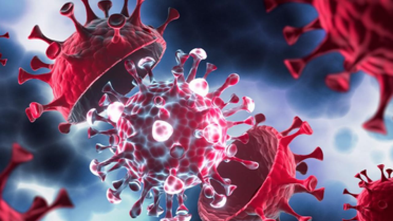 Foto - Ebola, Hantavirüs, Kovid-19 ve M çiçeği (mpox) maalesef artıyor! Bilim insanları tüm dünyaya duyurdu