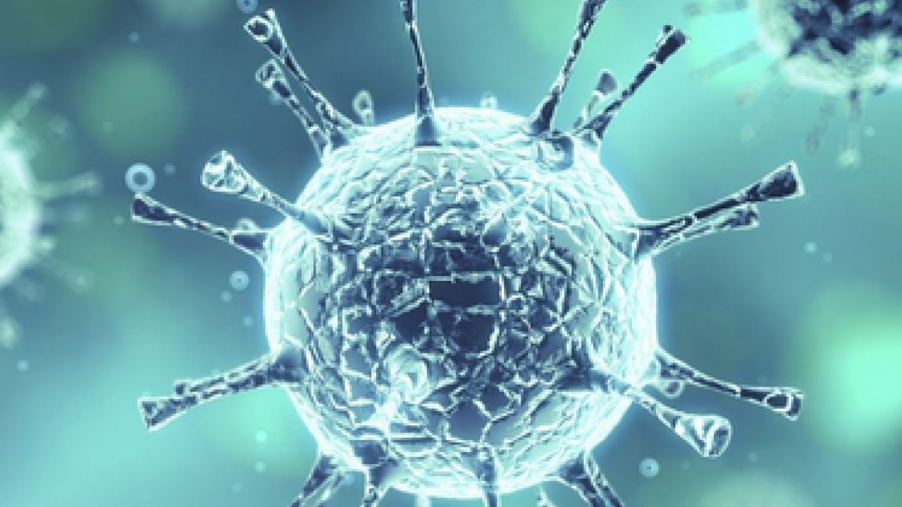 Foto - Ebola, Hantavirüs, Kovid-19 ve M çiçeği (mpox) maalesef artıyor! Bilim insanları tüm dünyaya duyurdu