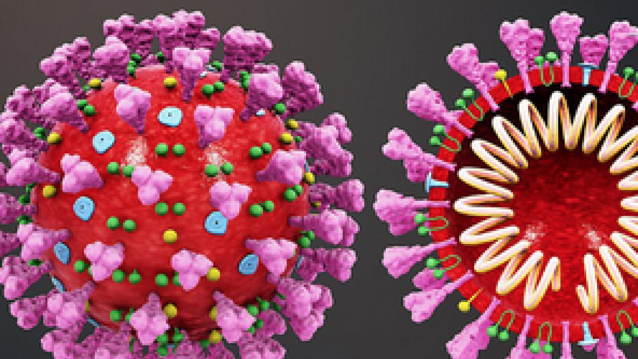 Foto - Ebola, Hantavirüs, Kovid-19 ve M çiçeği (mpox) maalesef artıyor! Bilim insanları tüm dünyaya duyurdu