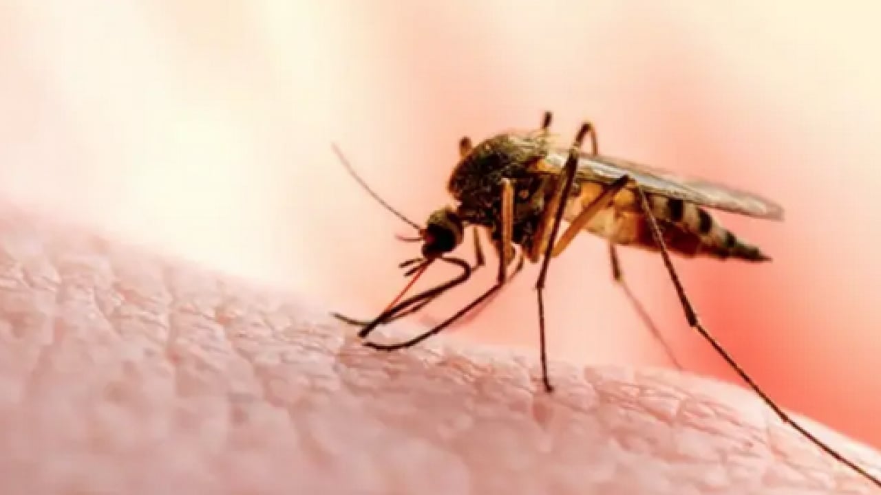 Foto - Ebola, Hantavirüs, Kovid-19 ve M çiçeği (mpox) maalesef artıyor! Bilim insanları tüm dünyaya duyurdu