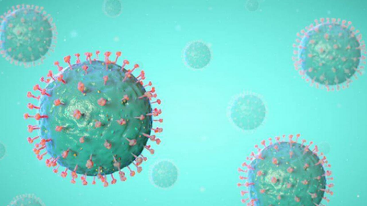 Foto - Ebola, Hantavirüs, Kovid-19 ve M çiçeği (mpox) maalesef artıyor! Bilim insanları tüm dünyaya duyurdu