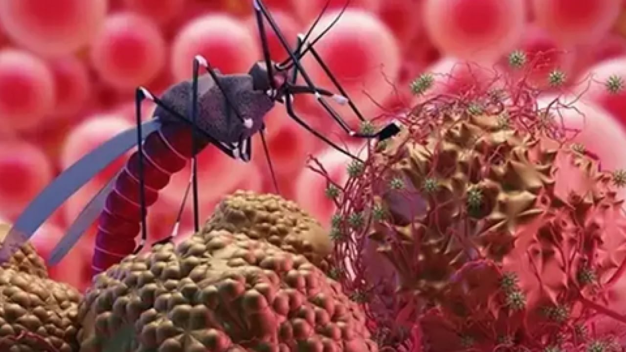 Foto - Ebola, Hantavirüs, Kovid-19 ve M çiçeği (mpox) maalesef artıyor! Bilim insanları tüm dünyaya duyurdu