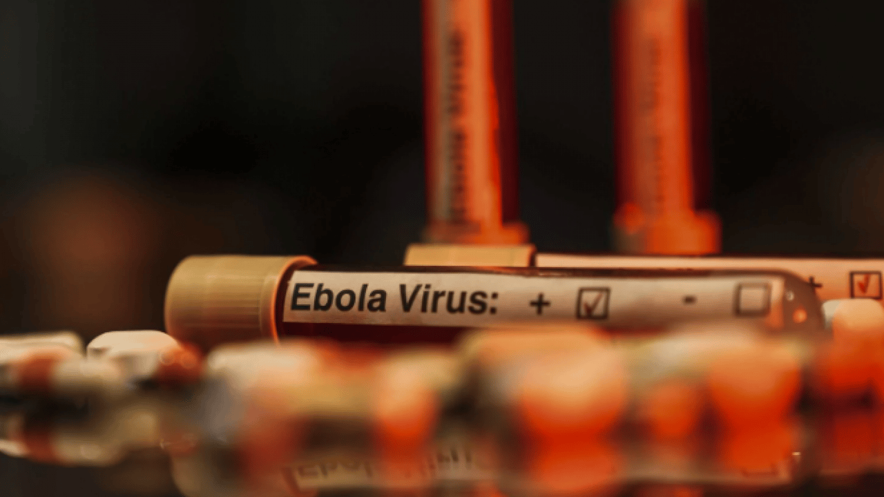 Foto - Ebola tehdidi büyüyor! DSÖ’den kritik açıklama