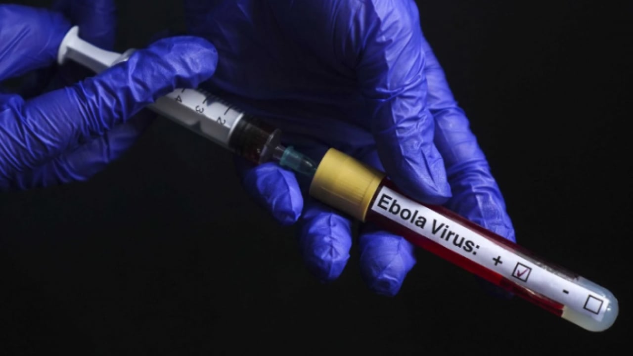 Foto - Ebola tehdidi büyüyor! DSÖ’den kritik açıklama
