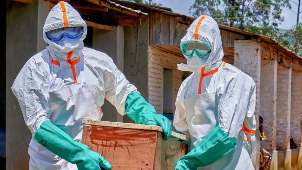Foto - Ebola virüsü için merkez üssünden kritik uyarı! Felaketi önlemek için acil müdahale şart