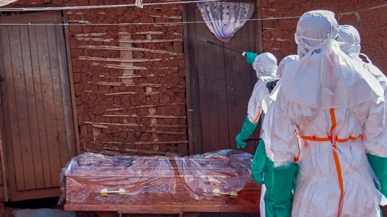 Foto - Ebola virüsü için merkez üssünden kritik uyarı! Felaketi önlemek için acil müdahale şart