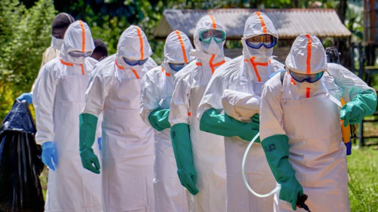 Foto - Ebola virüsü için merkez üssünden kritik uyarı! Felaketi önlemek için acil müdahale şart