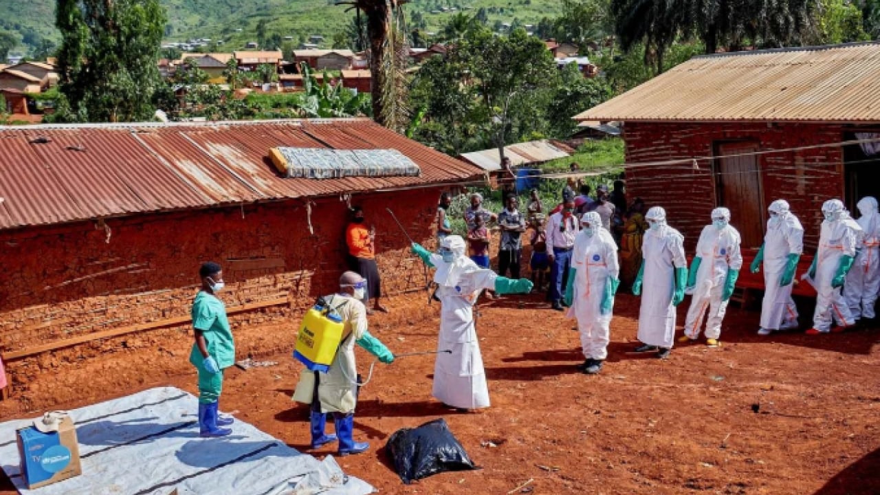 Ebola virüsü için merkez üssünden kritik uyarı! Felaketi önlemek için acil müdahale şart