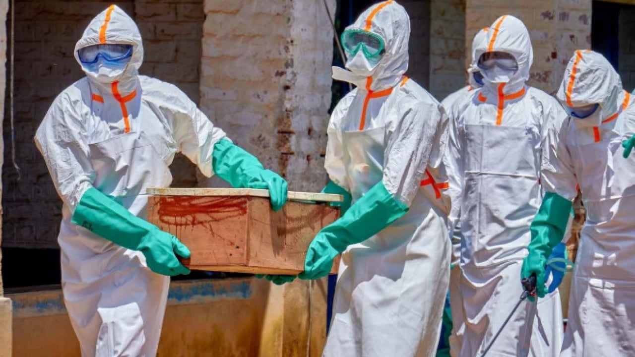 Foto - Ebola virüsü için merkez üssünden kritik uyarı! Felaketi önlemek için acil müdahale şart