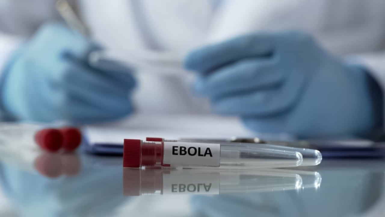 Foto - Ebola'ya karşı tarihi adım: Yeni nesil aşı insanda denendi