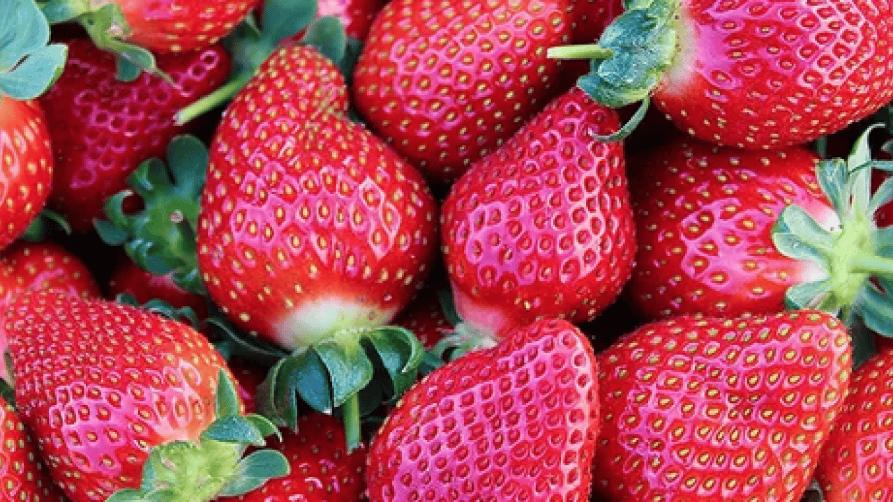 Foto - Eczaneyi eve getiren şifa deposu kilosu 80 TL: Damarları pırıl pırıl temizliyor: İltihaplarla mücadele...