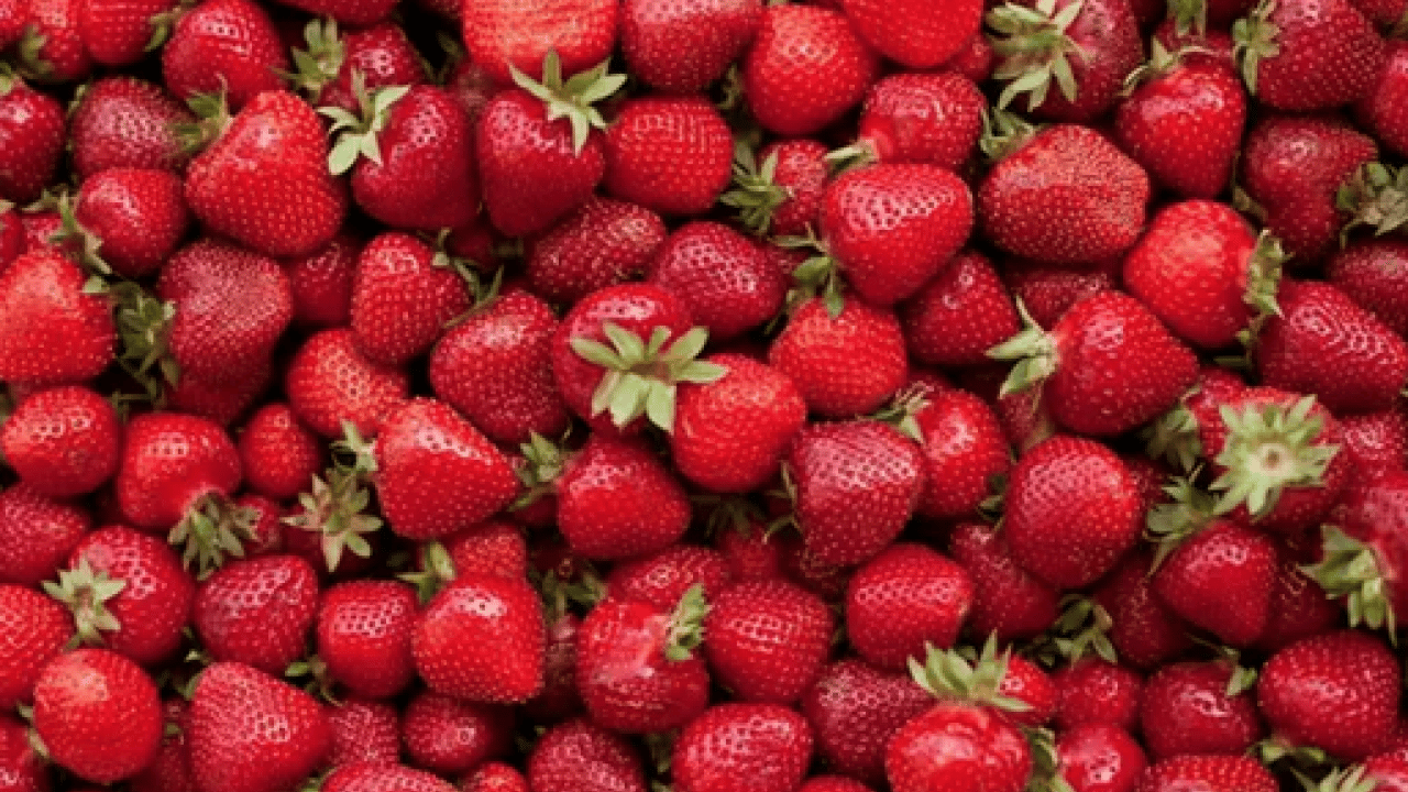 Foto - Eczaneyi eve getiren şifa deposu kilosu 80 TL: Damarları pırıl pırıl temizliyor: İltihaplarla mücadele...