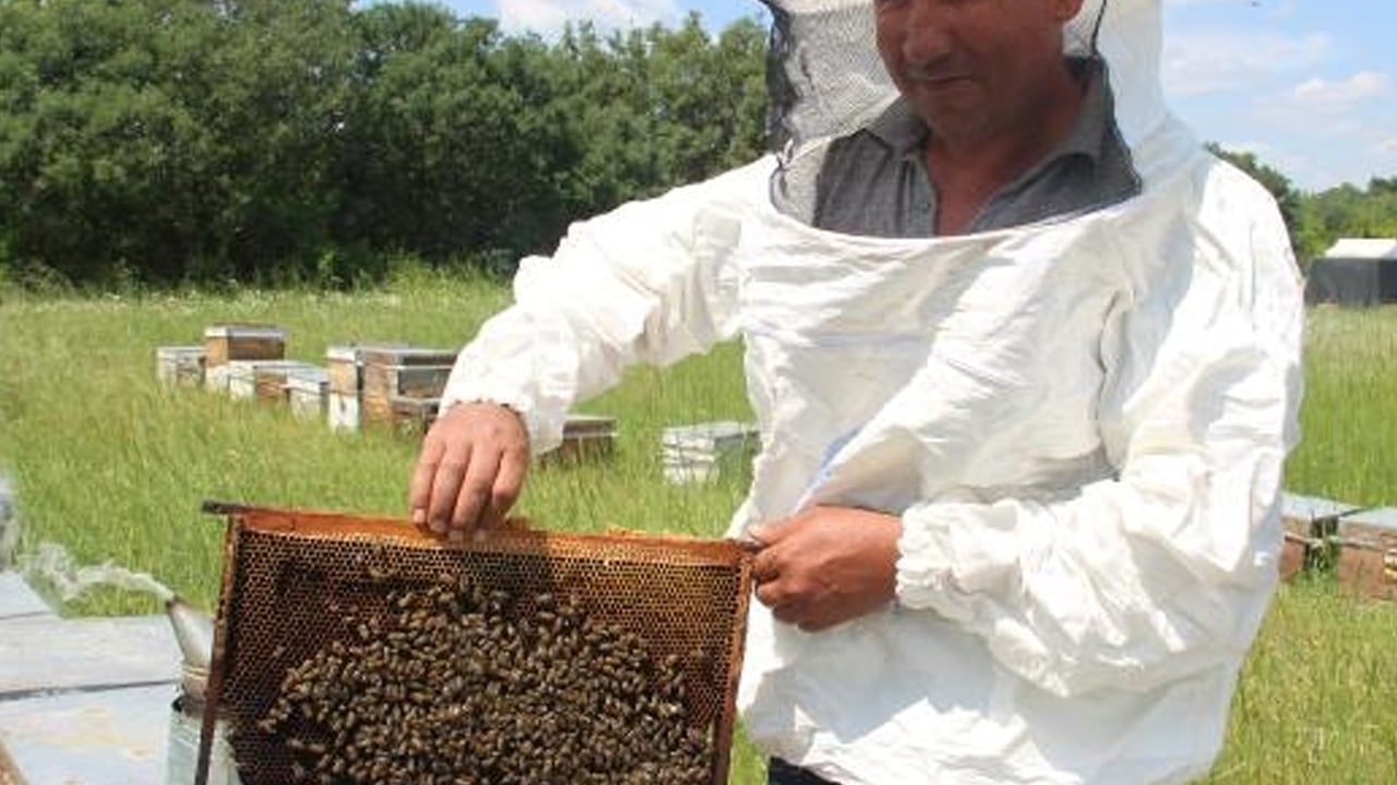 Edirne'nin Karaçalı balı: En zengin demir içeren besin kaynağı: Coğrafi işaret için hazırlanıyor! 