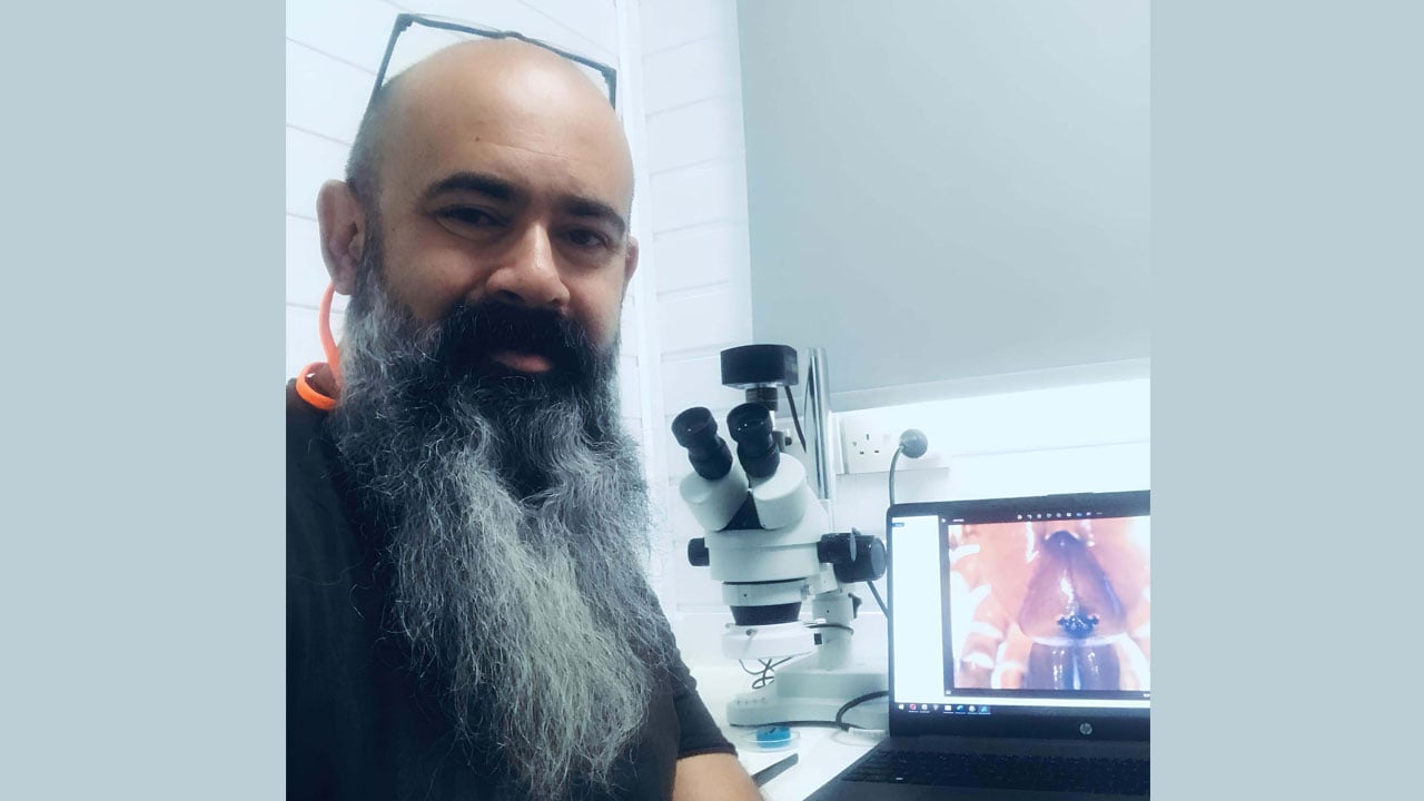 Foto - Ege’de bilim dünyasını heyecanlandıran keşif! 8 yeni örümcek türü keşfedildi