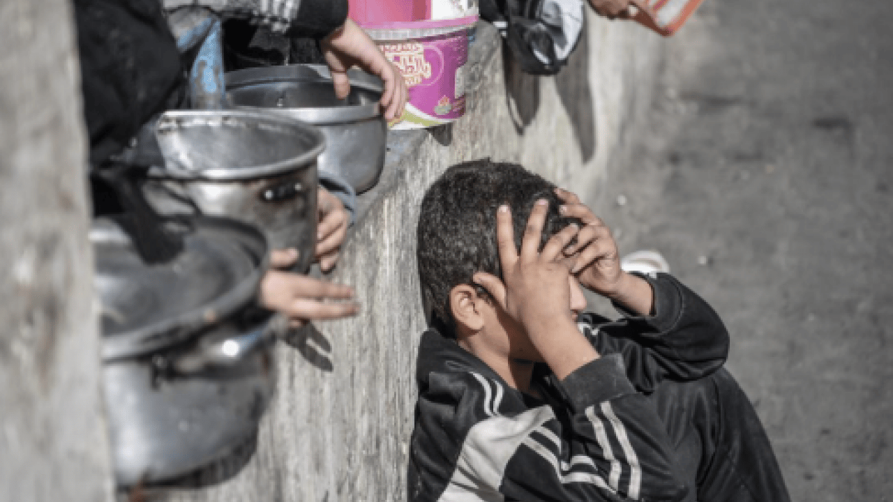 Foto - Eğitim hakları gasp ediliyor! Gazzeli öğrencilerden acil çağrı
