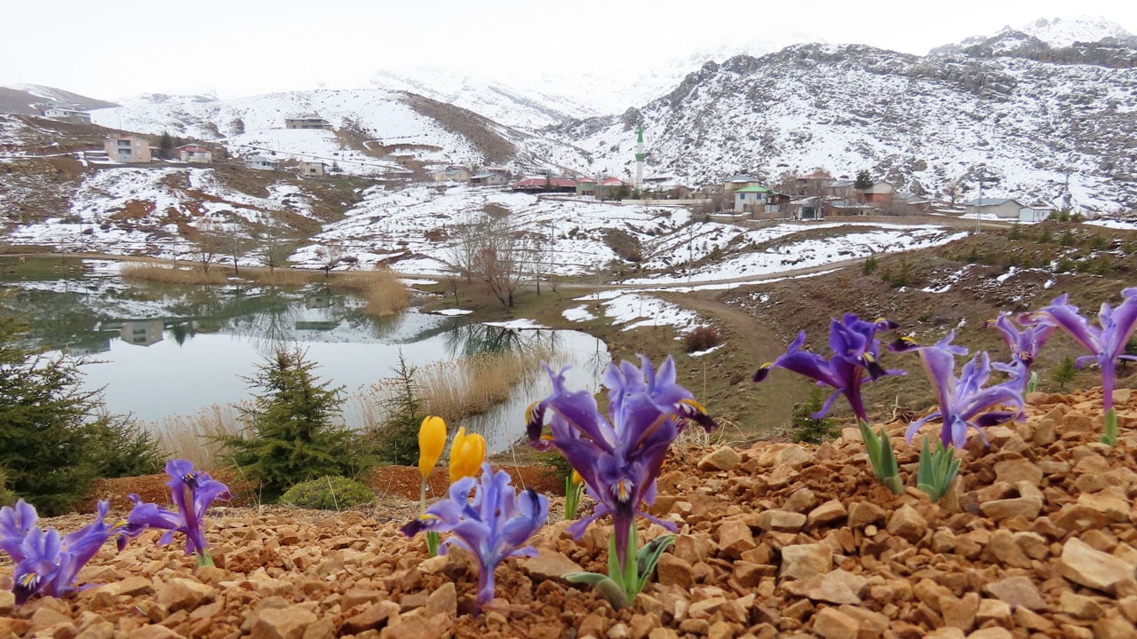 Foto - Eğrigöl Yaylası çiçeklerle süslendi! İşte, Toroslar’ın saklı güzelliği