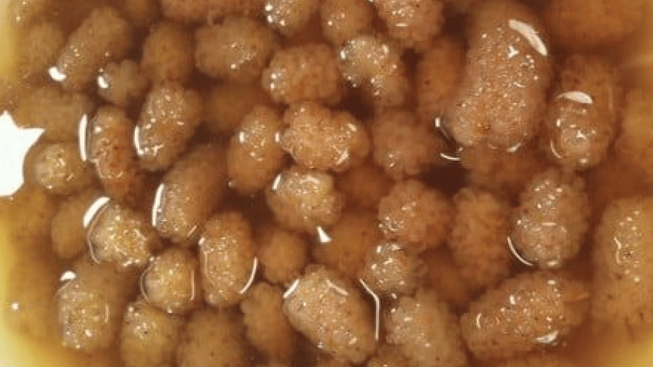 Foto - Egzamadan kurtaran en iyi doğal tedavi olacak: Çarpıcı yolu şaşırttı, görenleri hayrete düşürdü! Bakın nasıl yapılıyor