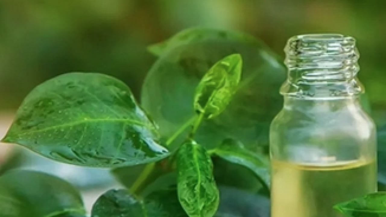 Foto - Egzamaya, ayak mantarına, cilt kuruluğuna şifa kaynağı! Ayakları 5 dakikada bebek gibi yapıyor