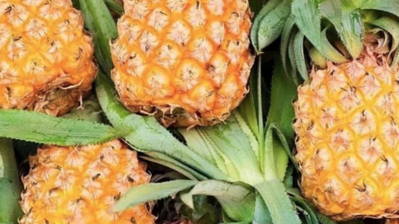 Foto - Egzotik lezzetin faydaları... Ananas tüketirken dikkat: Göründüğü kadar masum olmayabilir mi?