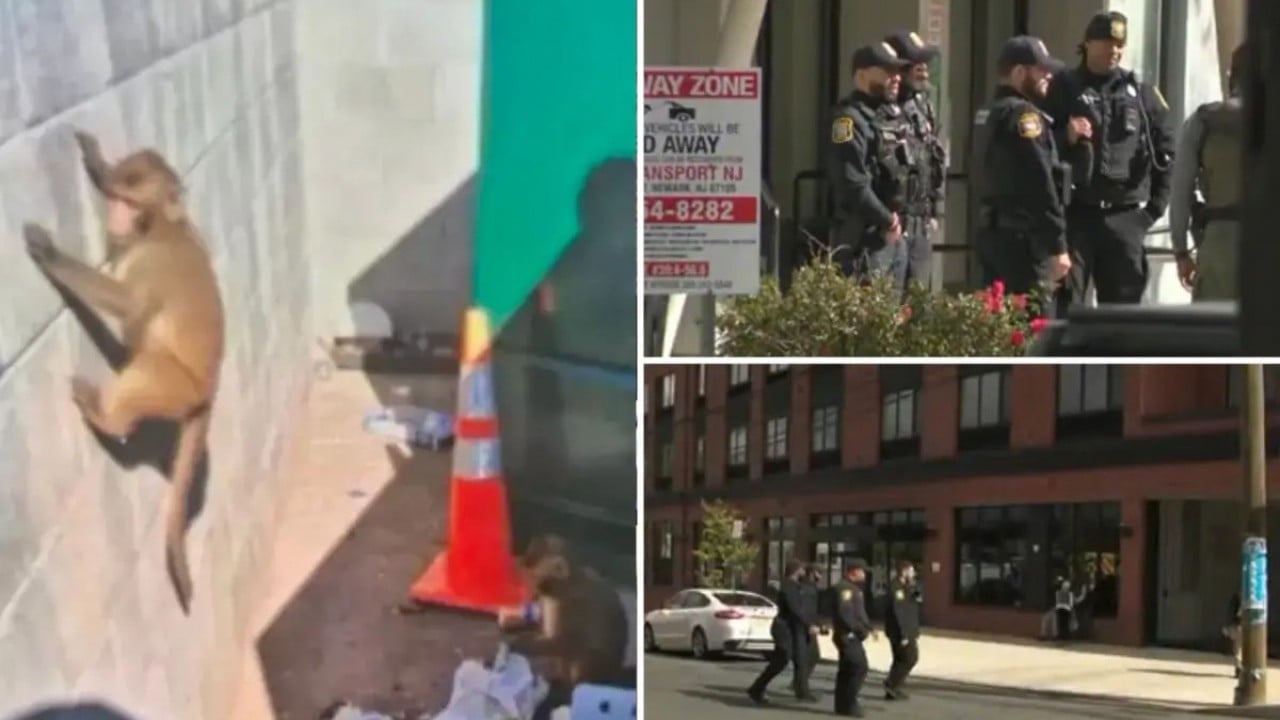 Foto - Ekim ayının en sıradışı ve tuhaf olayları