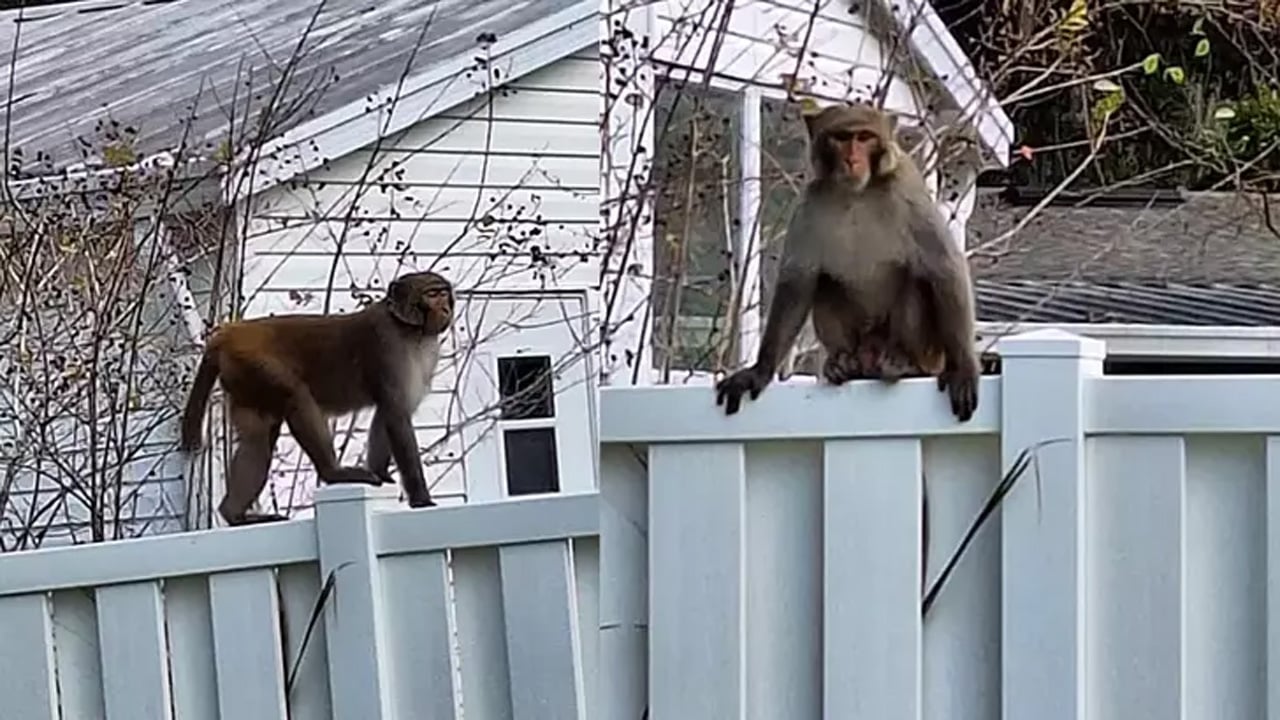Ekim ayının en sıradışı ve tuhaf olayları