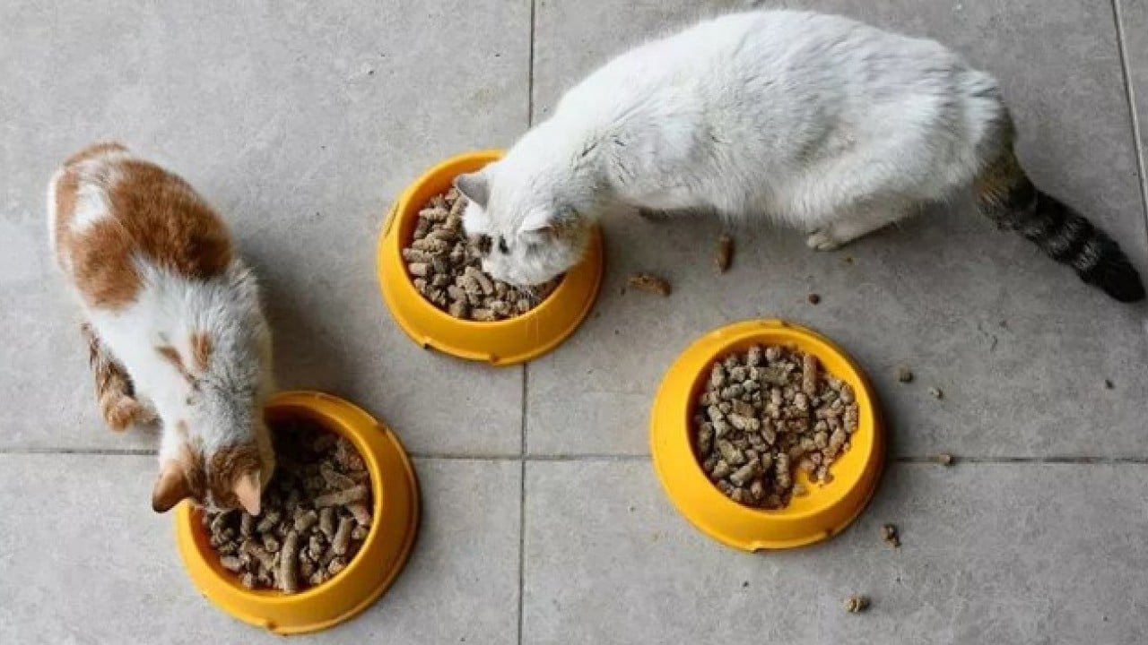 Foto - Ekim rakamları belli oldu: İşte fiyatı en fazla artan ve düşen ürünler!