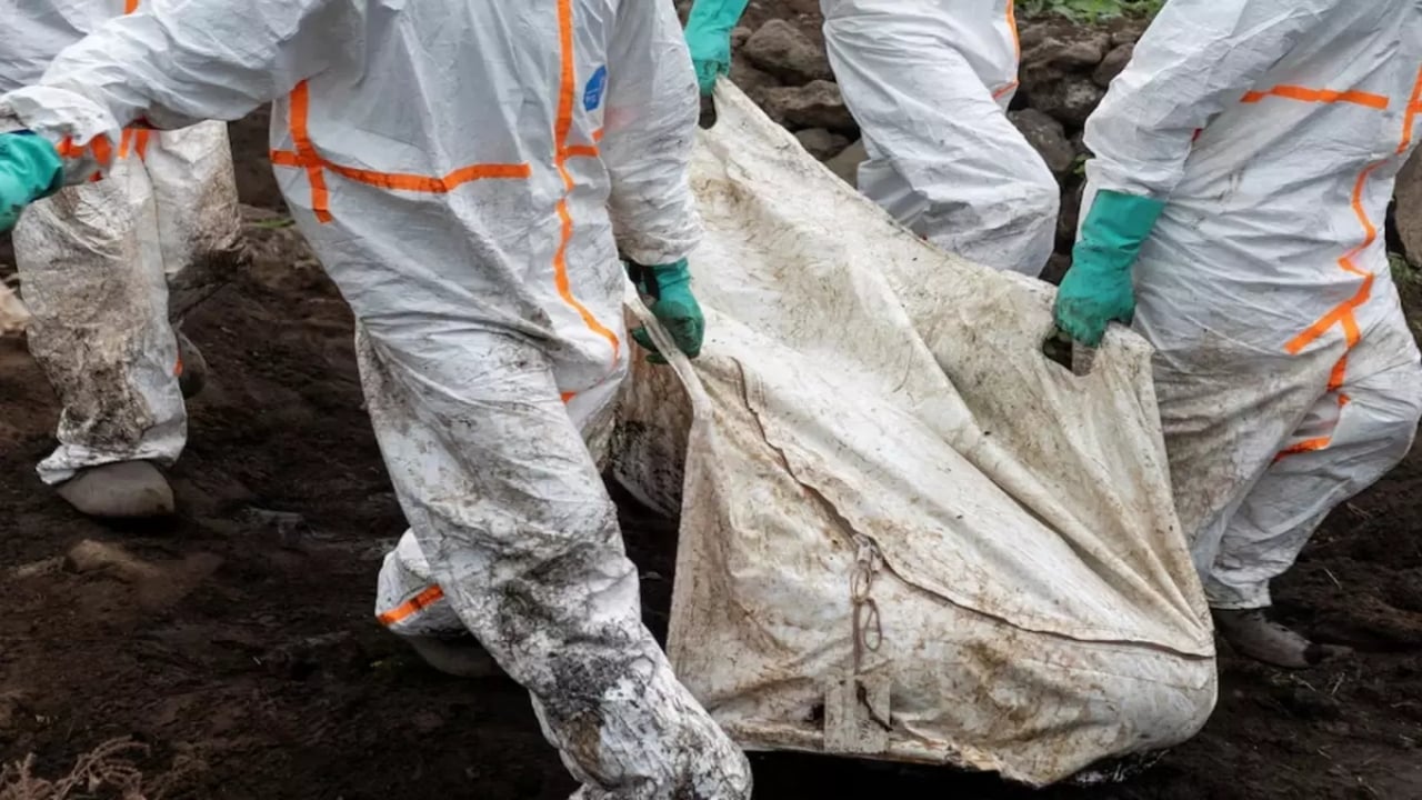 Ekipleri bile korku sardı! Kazdıkları topraktan resmen ceset fışkırdı: Uzmanların bir tahmini var 