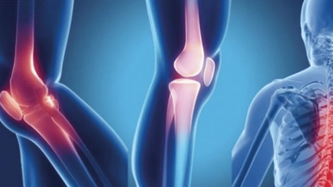 Foto - Eklem sağlığında 'Kitosan' dönemi: Kıkırdak onarımına doğal destek! Tek tek sıraladı...