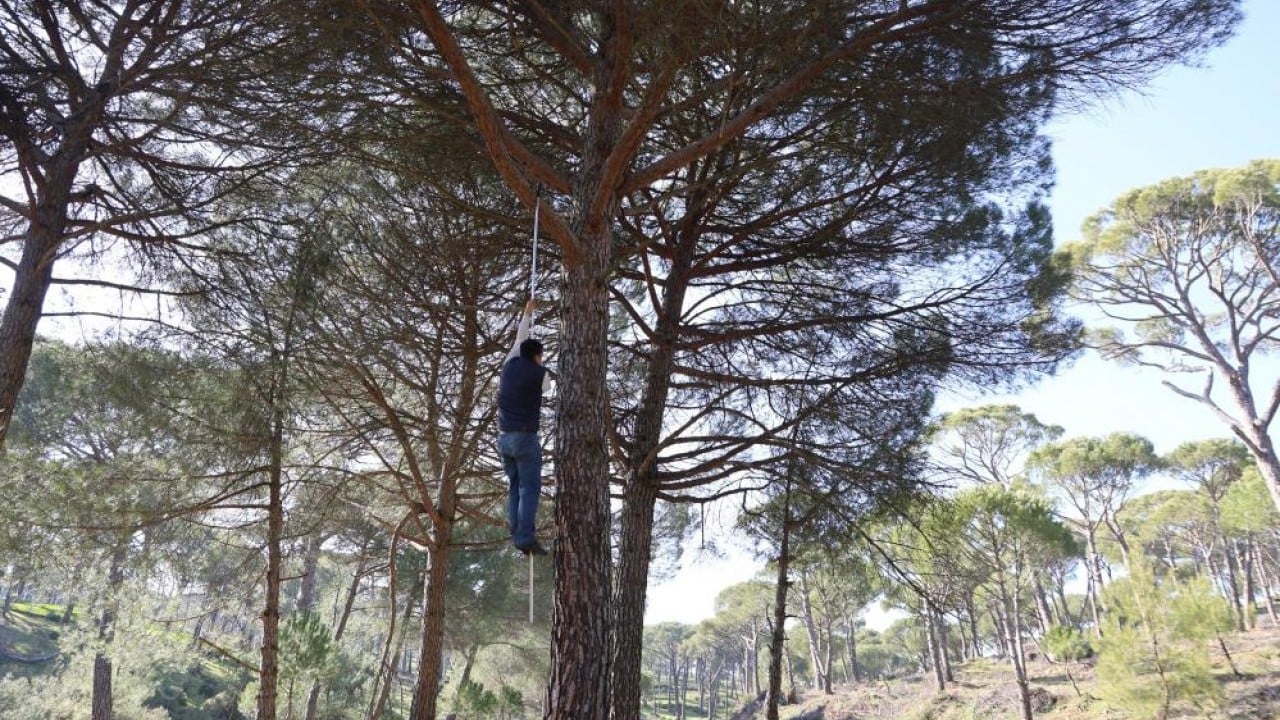 Foto - Ekmek parası için Künar komandosu oldular