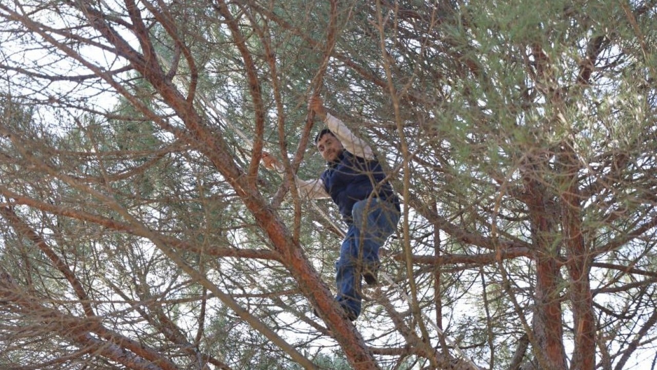 Foto - Ekmek parası için Künar komandosu oldular