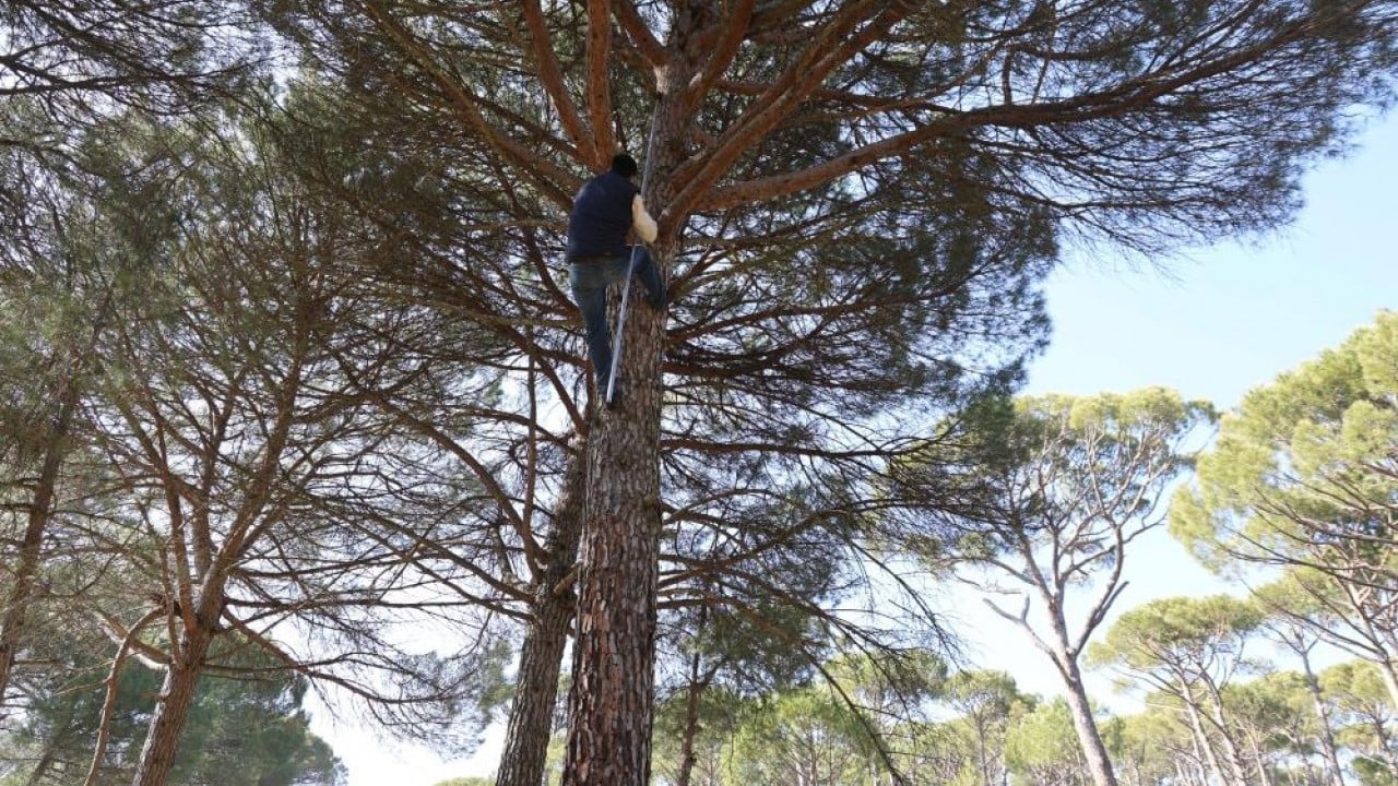 Foto - Ekmek parası için Künar komandosu oldular