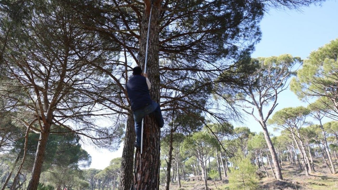 Foto - Ekmek parası için Künar komandosu oldular