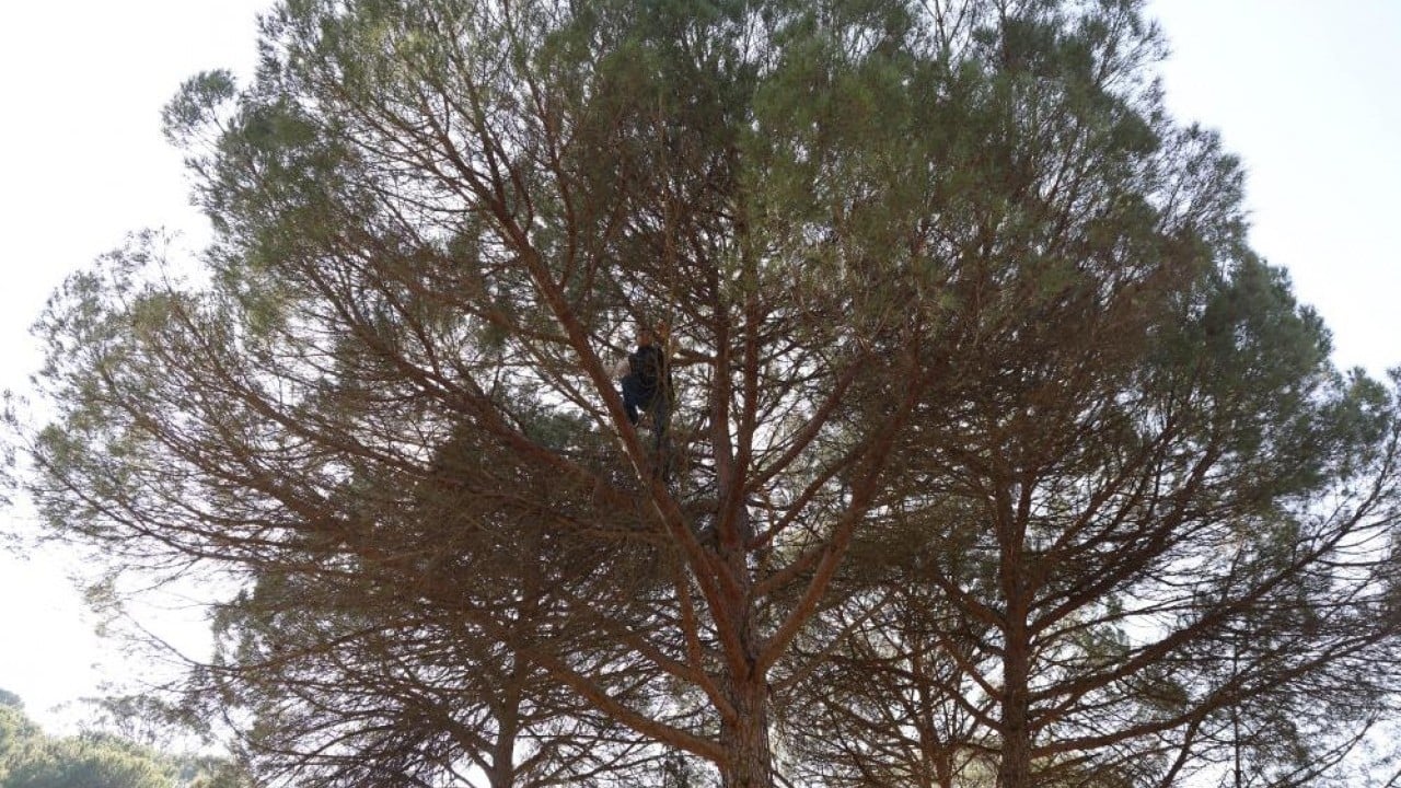 Foto - Ekmek parası için Künar komandosu oldular