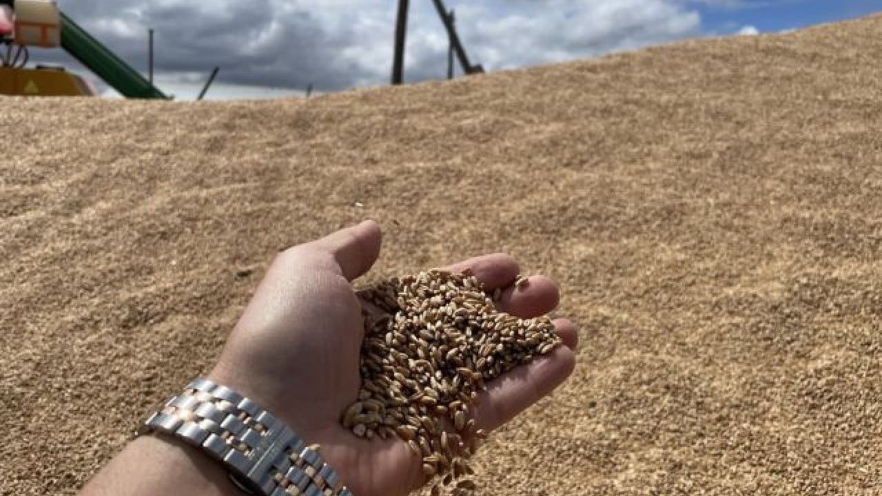 Foto - Ekmeklik buğday ve buğday kırıkları ihracatına izin verildi İhracat yasağı kalktı