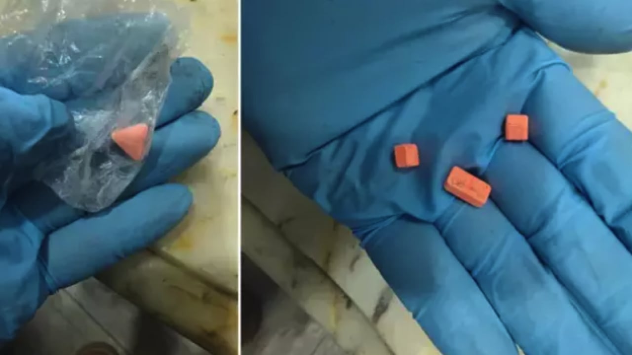 Foto - Ekranların 'parlatılan' jönü karanlıkta yakalandı! Can Yaman'ın üzerinden çıkanlar şoke etti