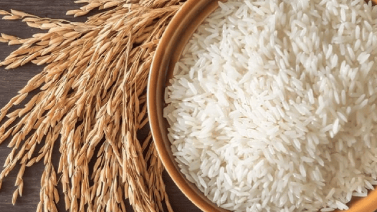 Foto - Ekşi veya kötü koku... Pirinçte saklı tehlike: Zehirlenmeye davetiye çıkarıyor 