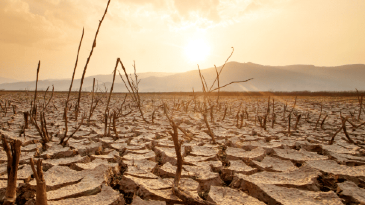 Foto - El Nino kapıya dayandı! Türkiye'yi derinden etkileyecek!