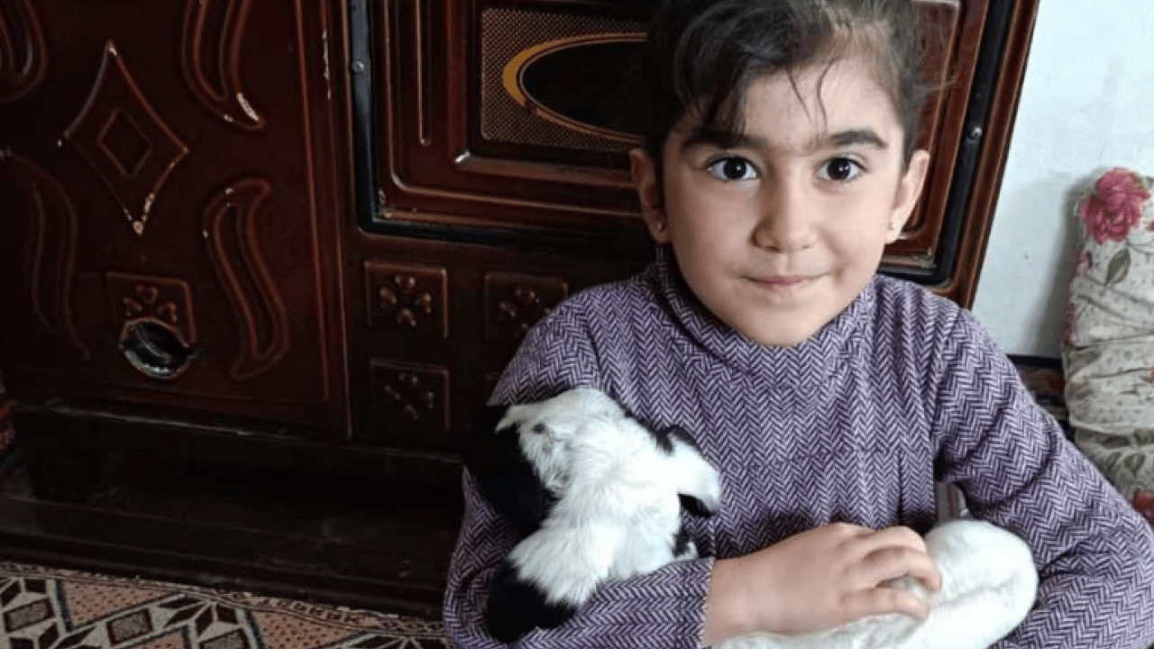 Foto - Elazığ’da ‘kuzu’ mesaisi: Soğuk hava onları eve taşıdı