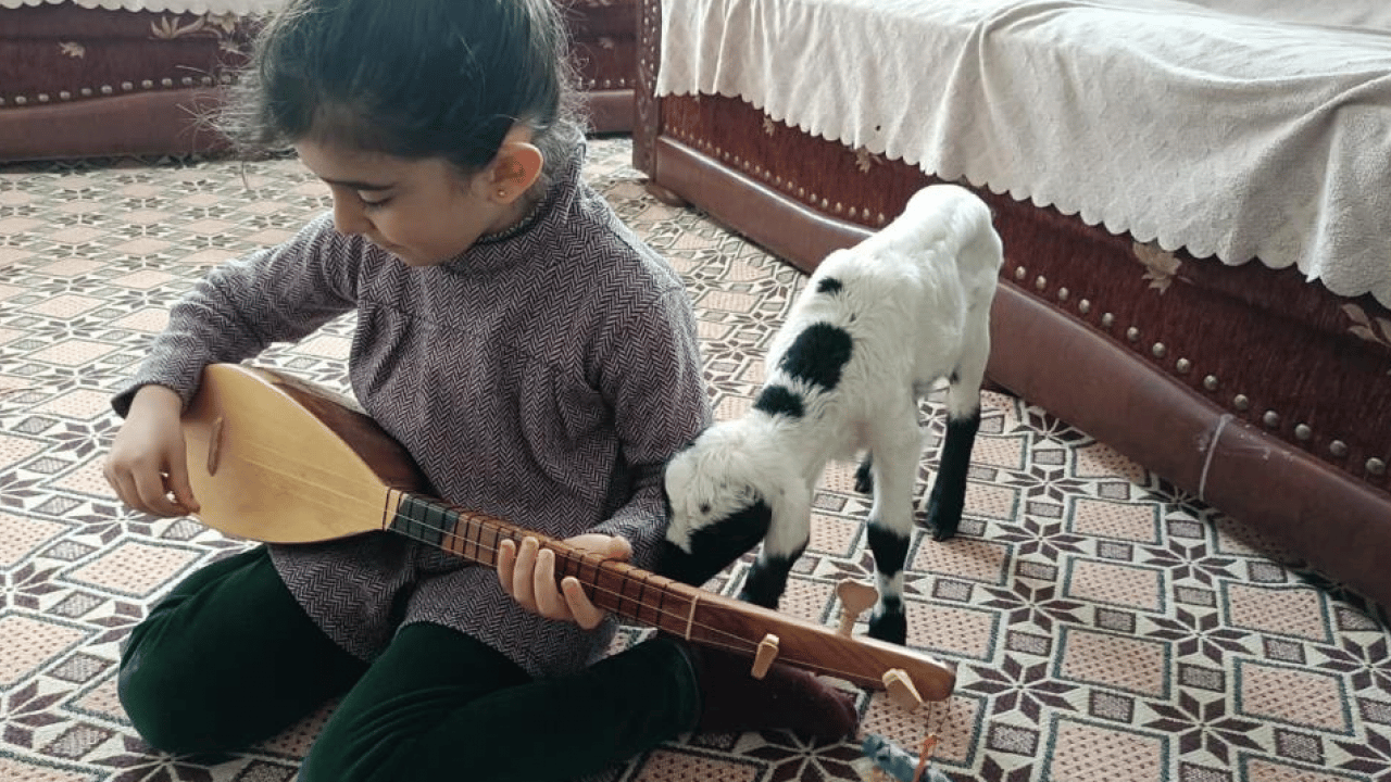 Foto - Elazığ’da ‘kuzu’ mesaisi: Soğuk hava onları eve taşıdı