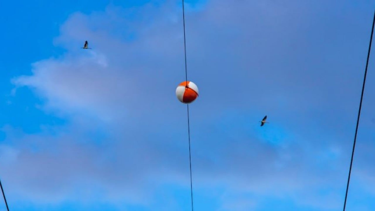 Foto - Elektrik Hatlarındaki Renkli Topların Sırrı Çözüldü!