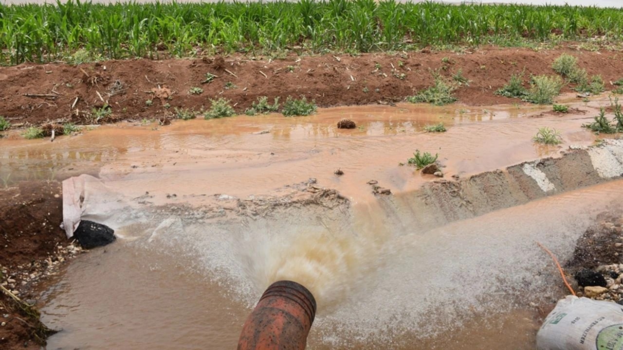 Foto - Elektrik kaçak sulama vahşi Kanımızı emiyorlar