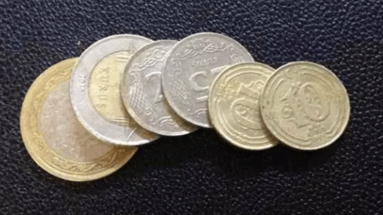 Foto - Cebinde olan köşeyi döndü: Tanesi 34 bin 871 TL!