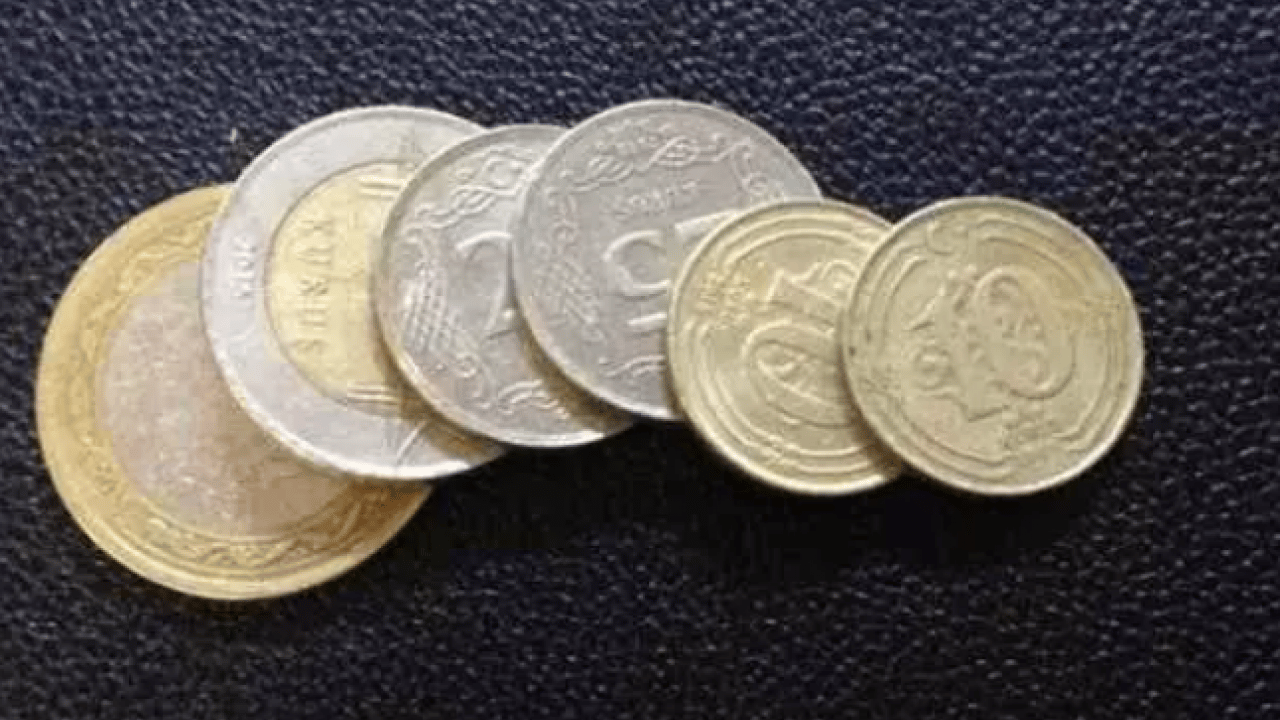 Foto - Cebinde olan köşeyi döndü: Tanesi 34 bin 871 TL!