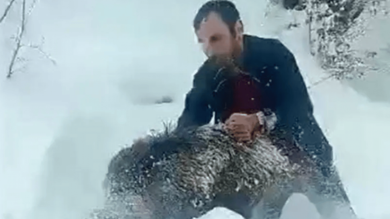 Foto - Eliyle domuz yakalayan şahsa 15 bin TL ceza