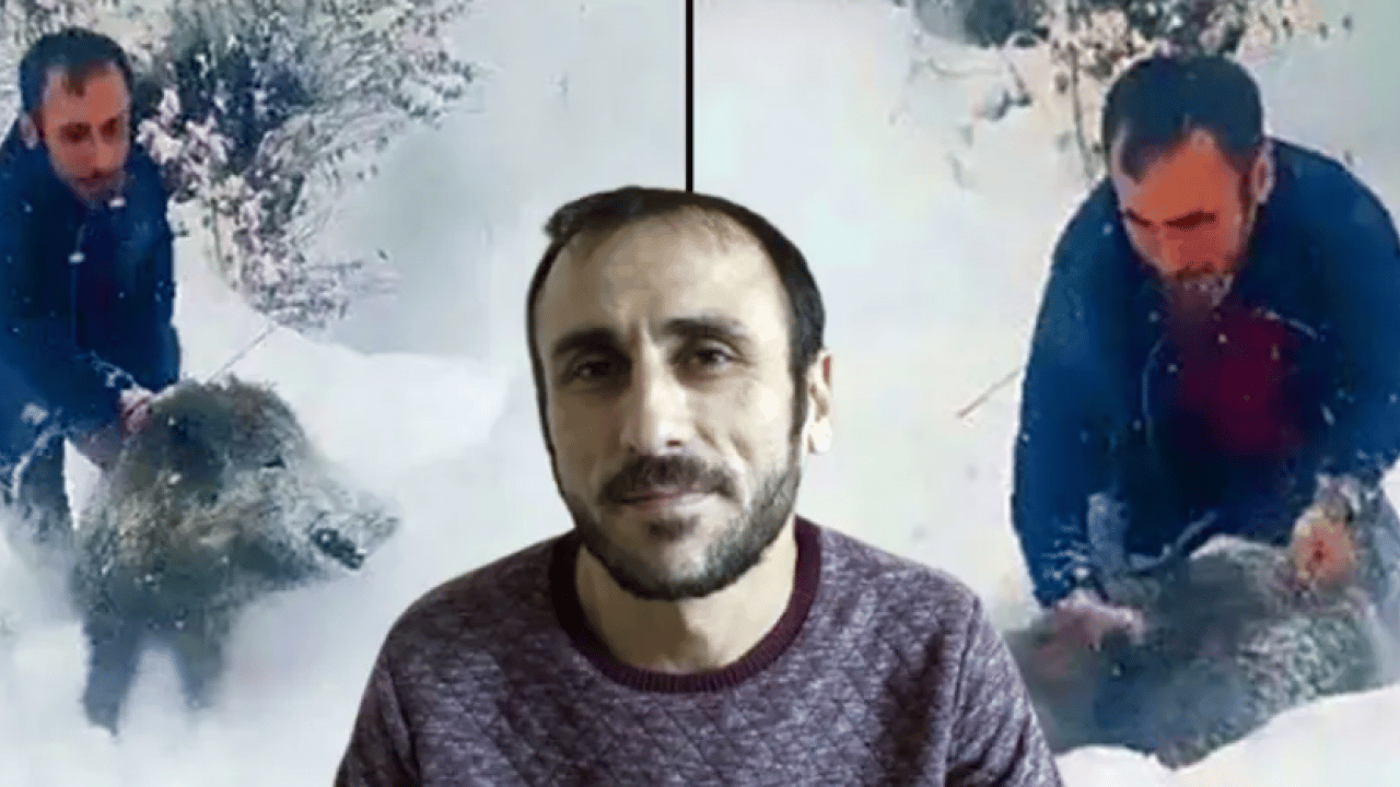 Eliyle domuz yakalayan şahsa 15 bin TL ceza