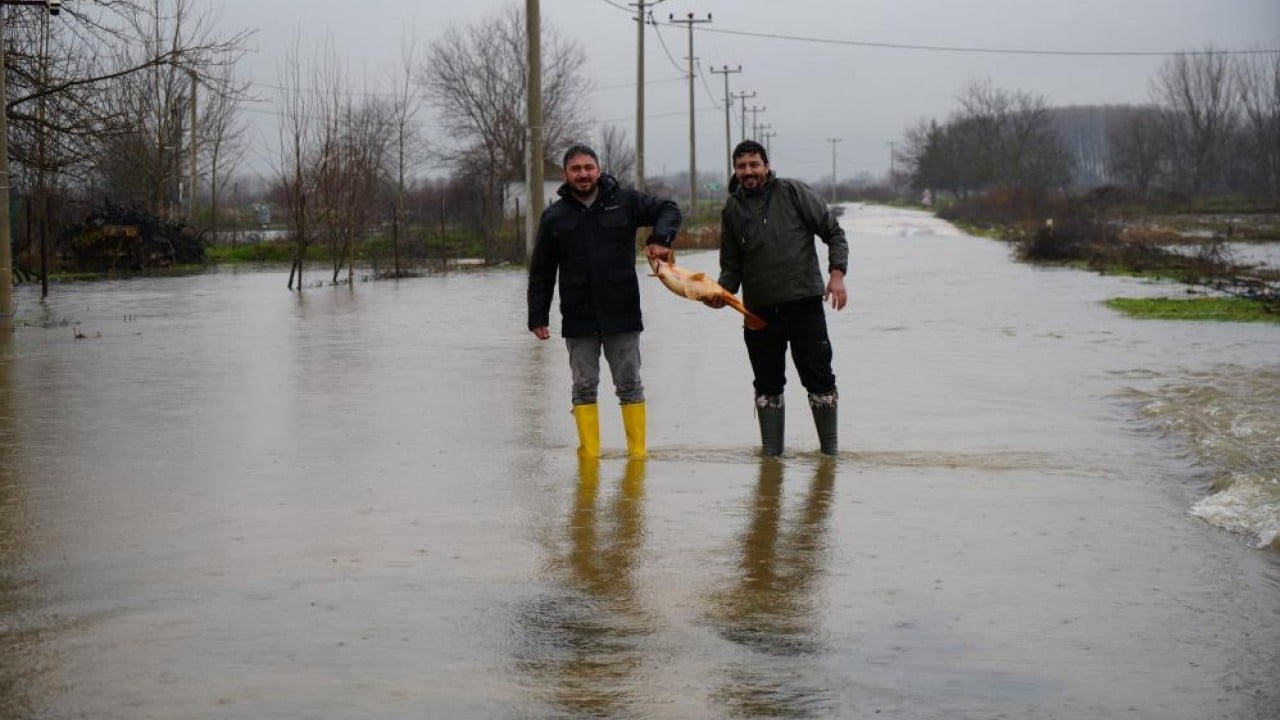 Foto - Elleriyle topladılar Tarlada sazan balığı hasadı