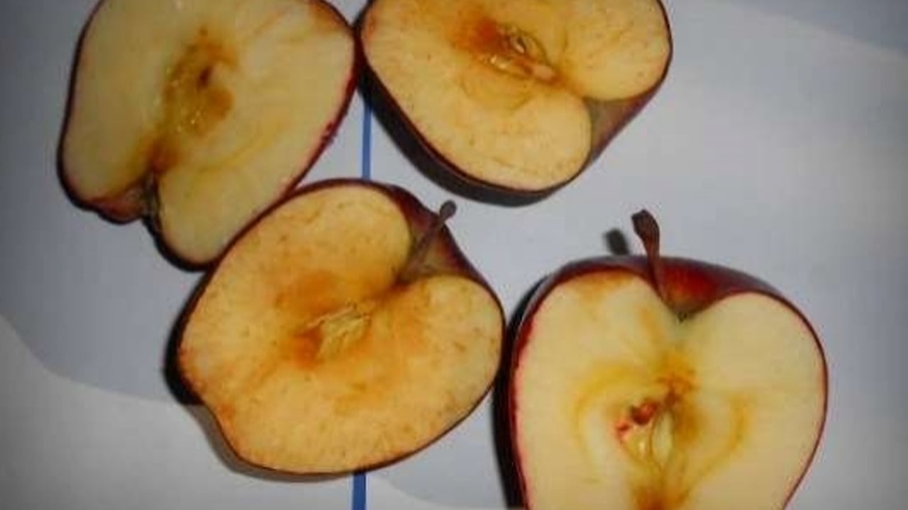 Foto - Elma ile ilgili bunları biliyor muydunuz? Kesilmiş elma neden kararır? Hakkında şok detay: Fabrikaya taşınıyor 