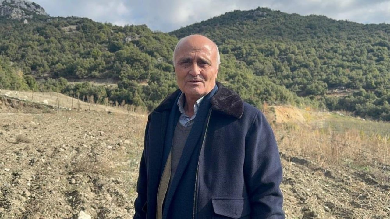 Foto - Elma yerine vişne ve zeytin