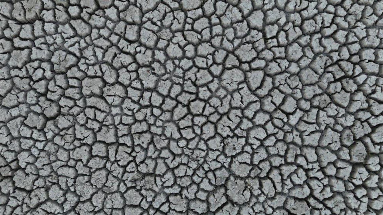 Foto - Elma yerine vişne ve zeytin