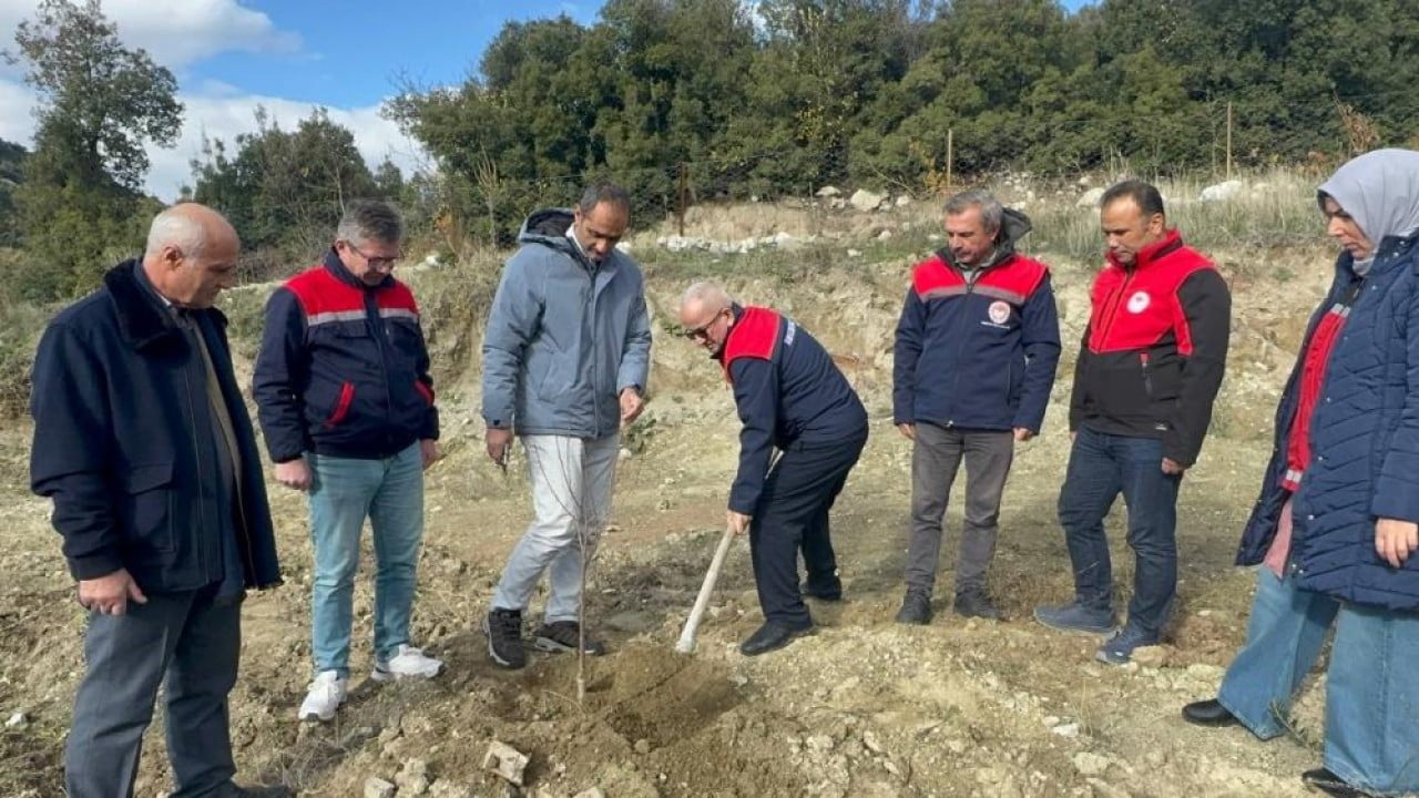 Foto - Elma yerine vişne ve zeytin
